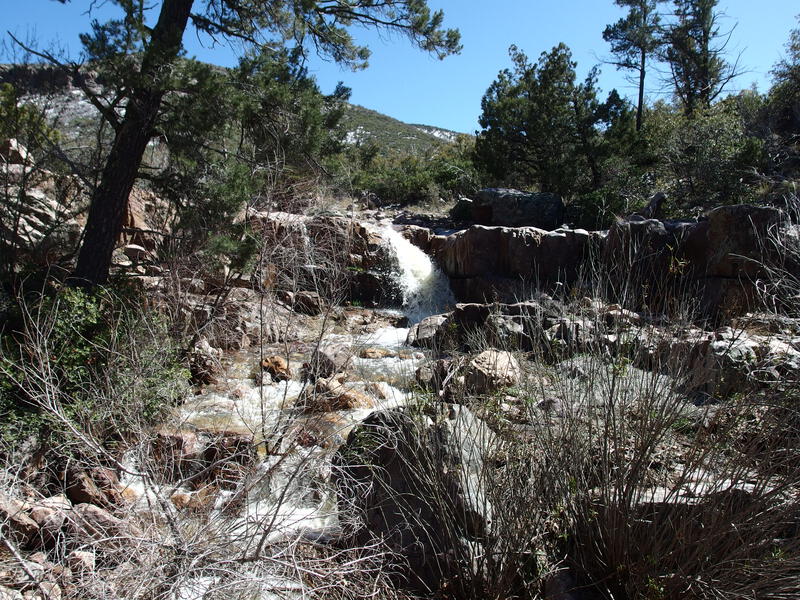 Small falls along the trail