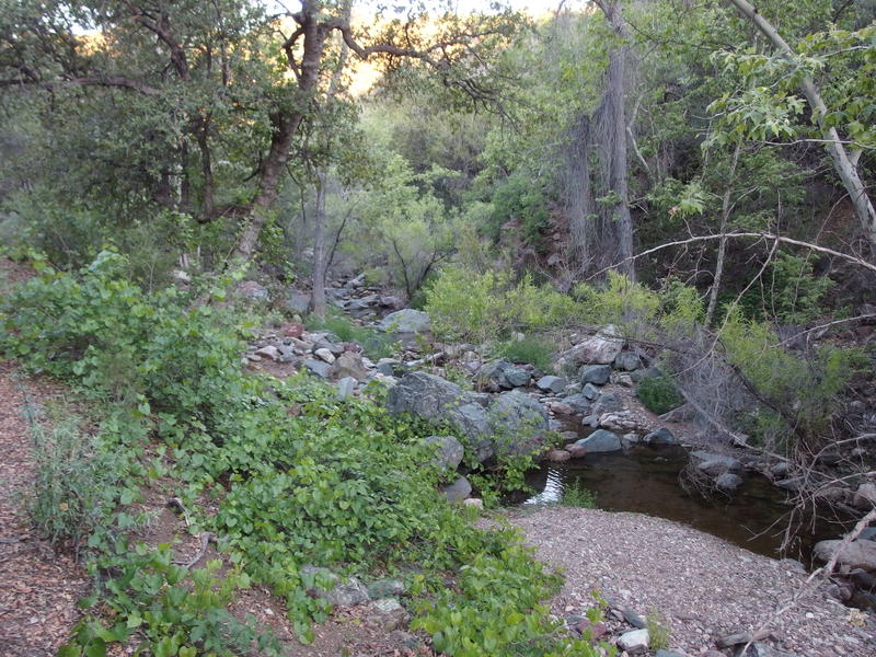 First look into Deer Creek