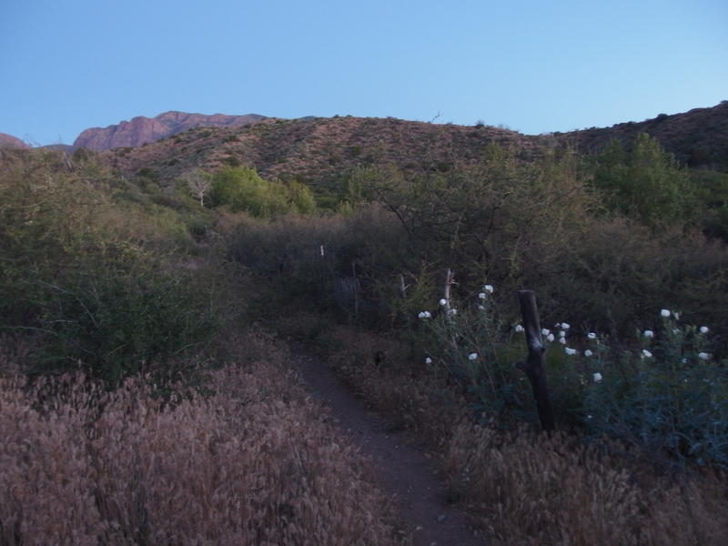 Early morning light along Deer Creek Trail