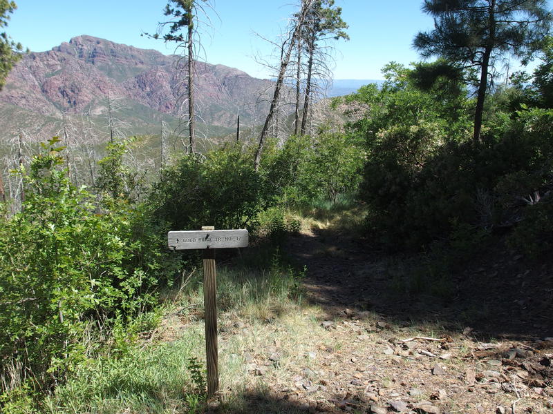 The start of Gold Ridge Trail