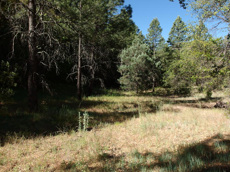 Flat grassland at Gowan Camp