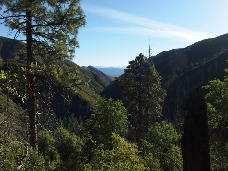 A great view down Deer Creek