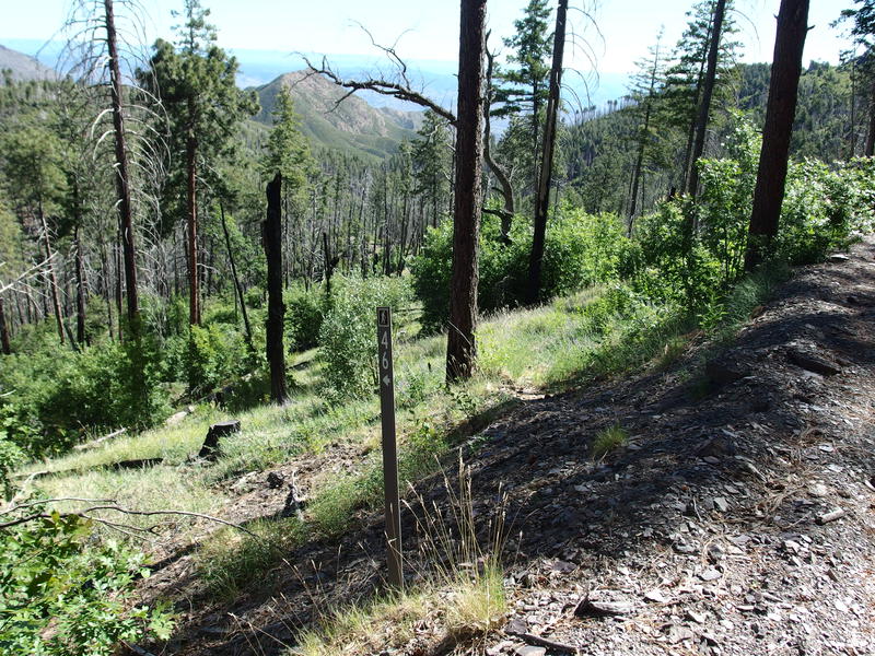 A humble start to South Fork Trail