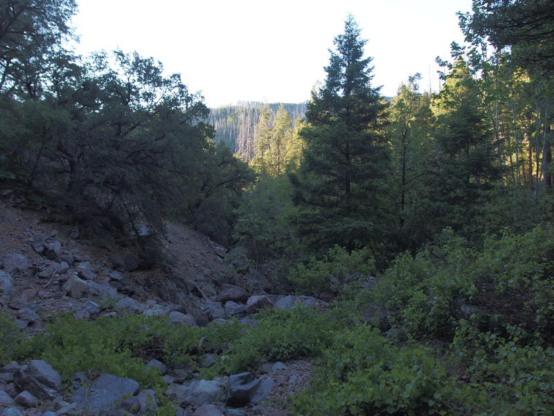 Morning light near Gowan Camp