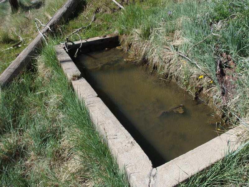 Murky waters at Pigeon Spring