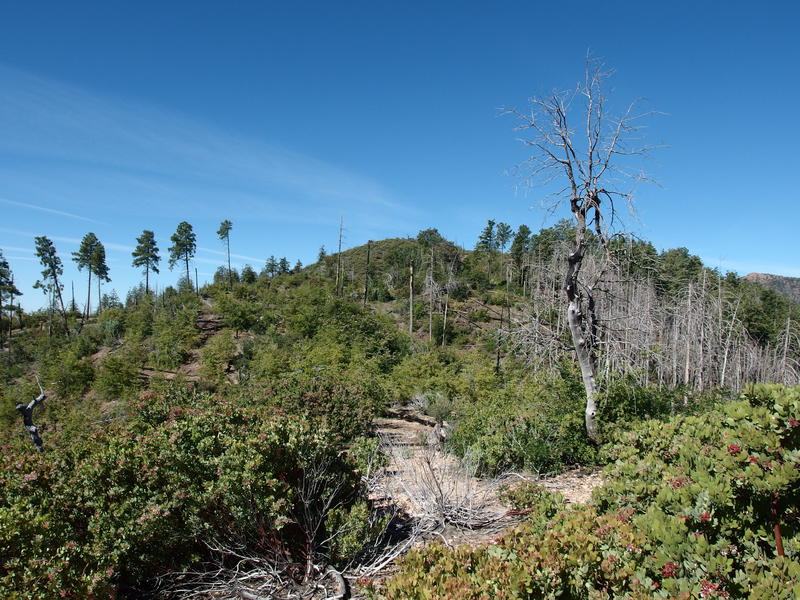 Badly scarred landscape on top of the climb