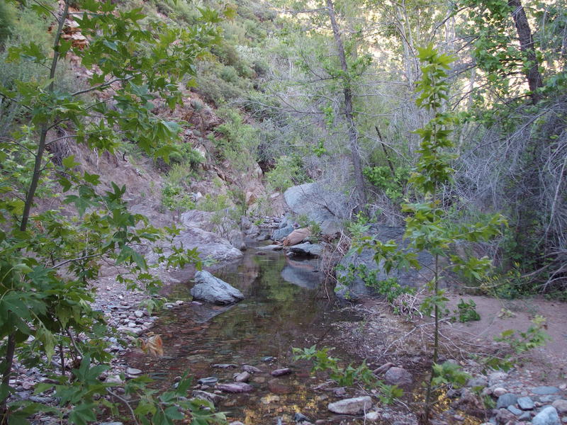 Scenic pools along Deer Creek