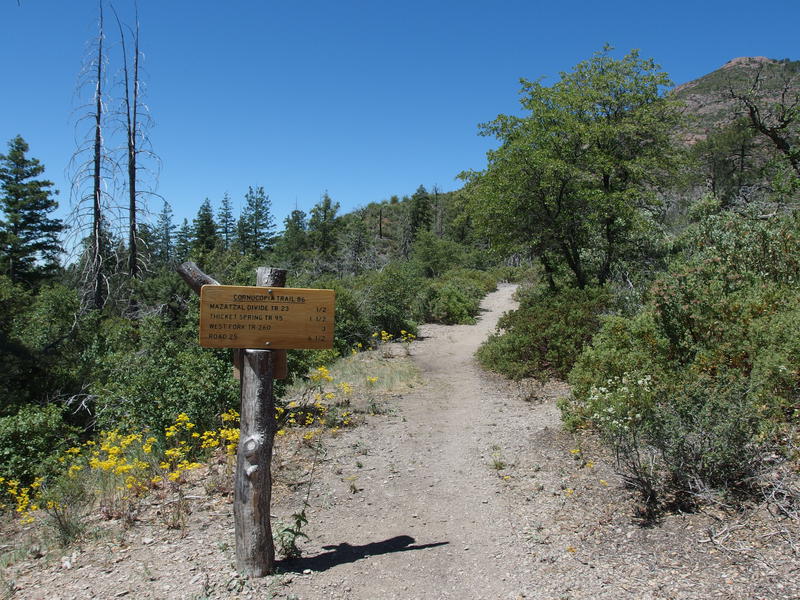 Wide trail leading towards Peeley
