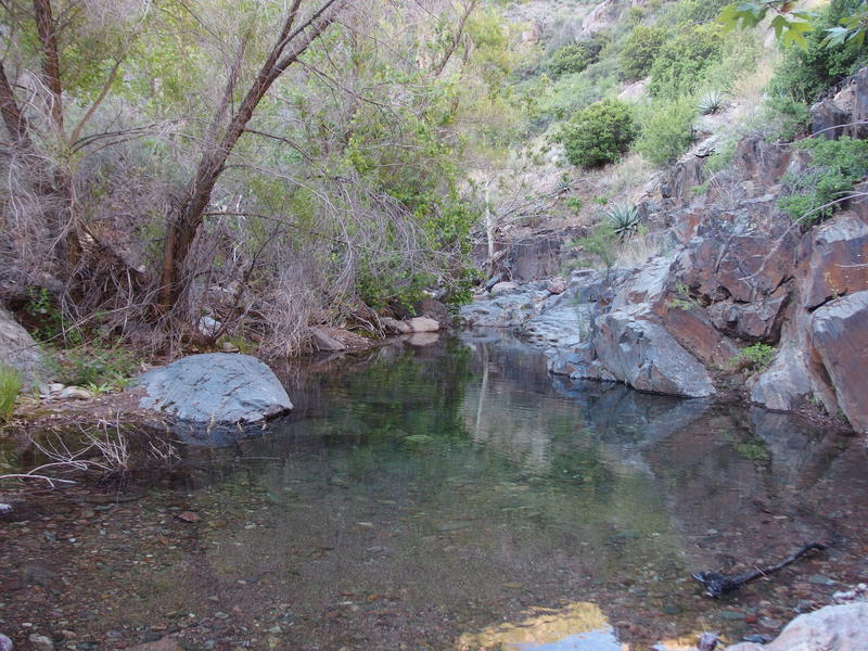 Potential swimming hole in the creek