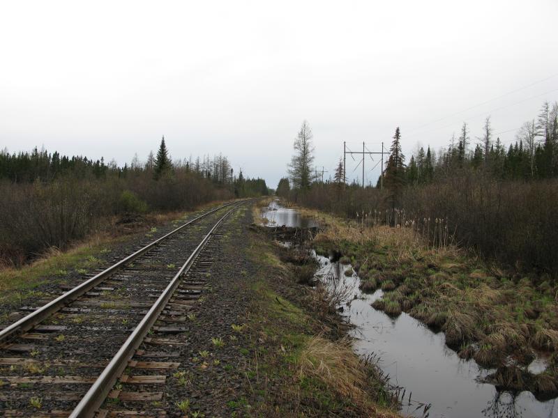 Running water and beaver dams near the tracks