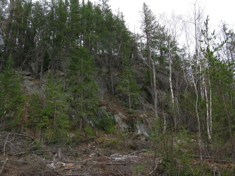 Exposed rock from recent logging