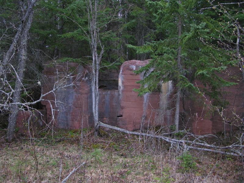 First glimpse of foundations poking under the pine