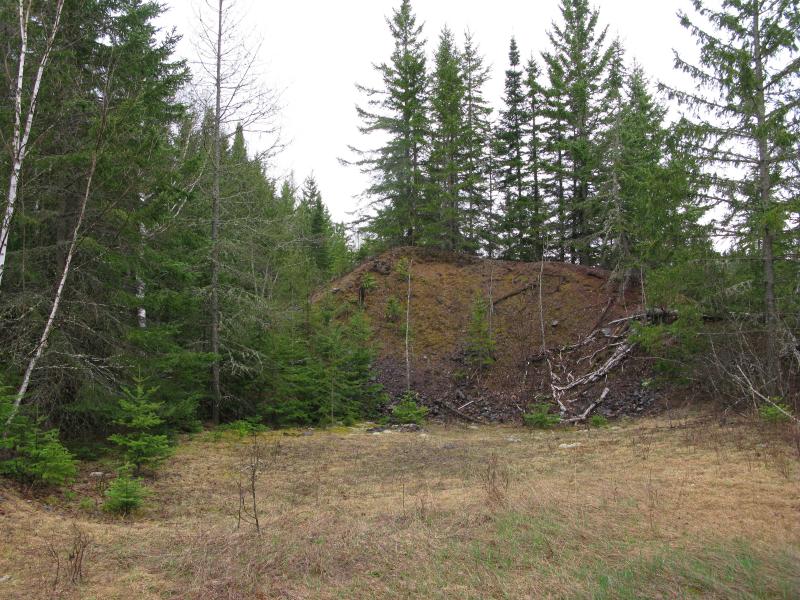 Overgrown pile of fine poor rock