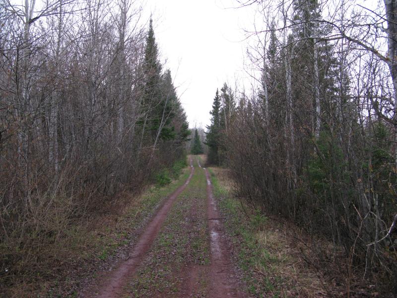 Wet tracks around the outskirts of Diorite