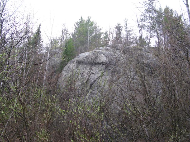 Looking up through the rain at the gnarly bluff