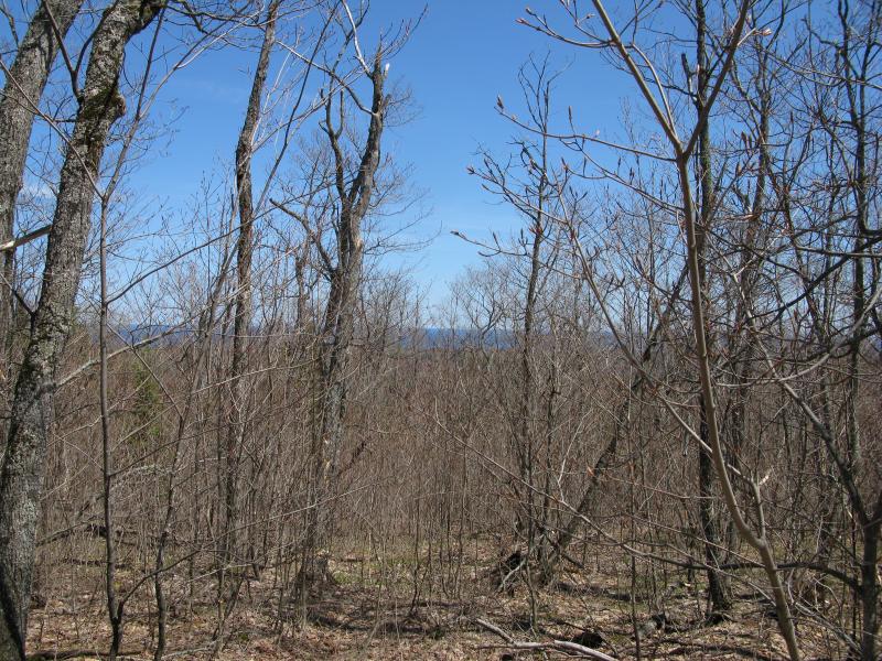 Distant blue of Lake Superior through the trees