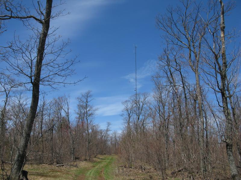 The radio tower in the woods