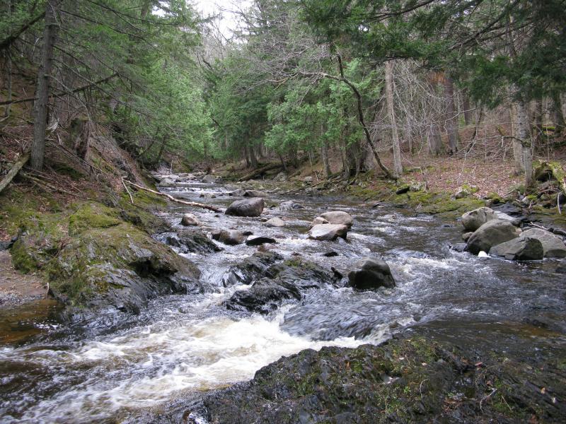 Steepening gorge above East Branch Falls