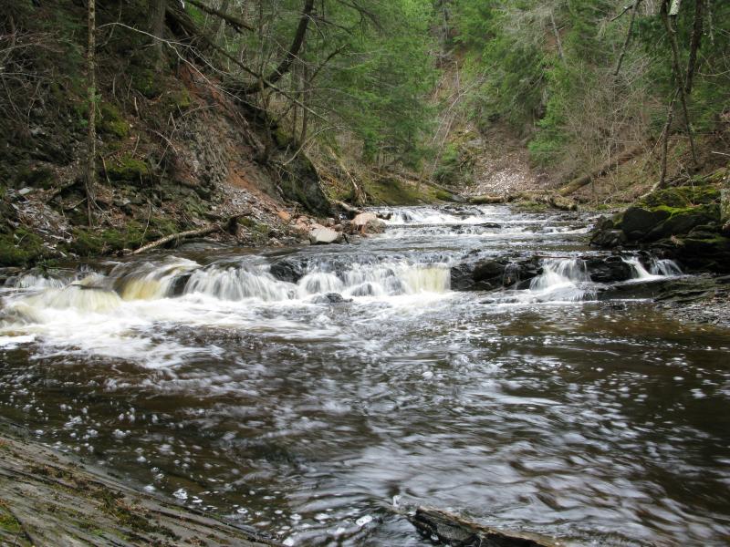 Small cascades on the river