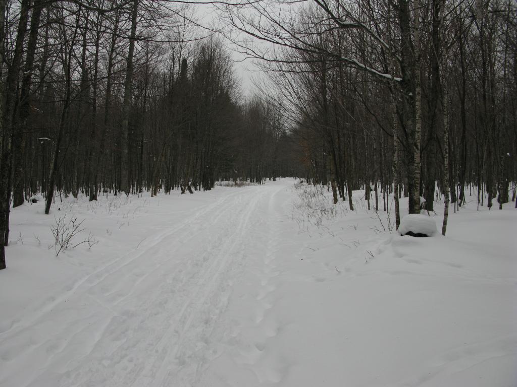 Blog | Snowy Trudge to Echo Lake