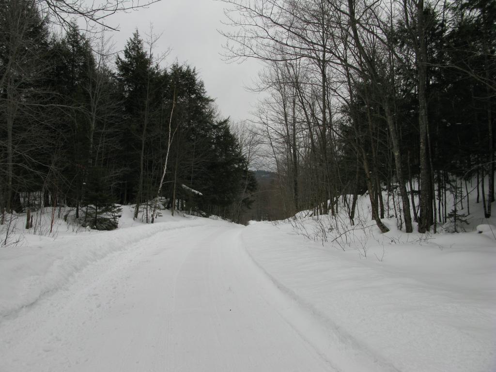 Blog | A Snowy Hike along Erick's Road