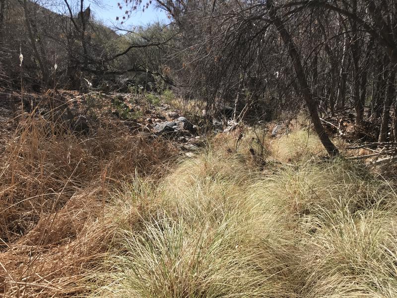 Winter hiking in AZ