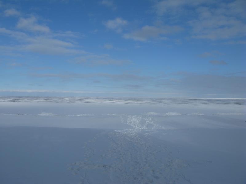 Path over the ice