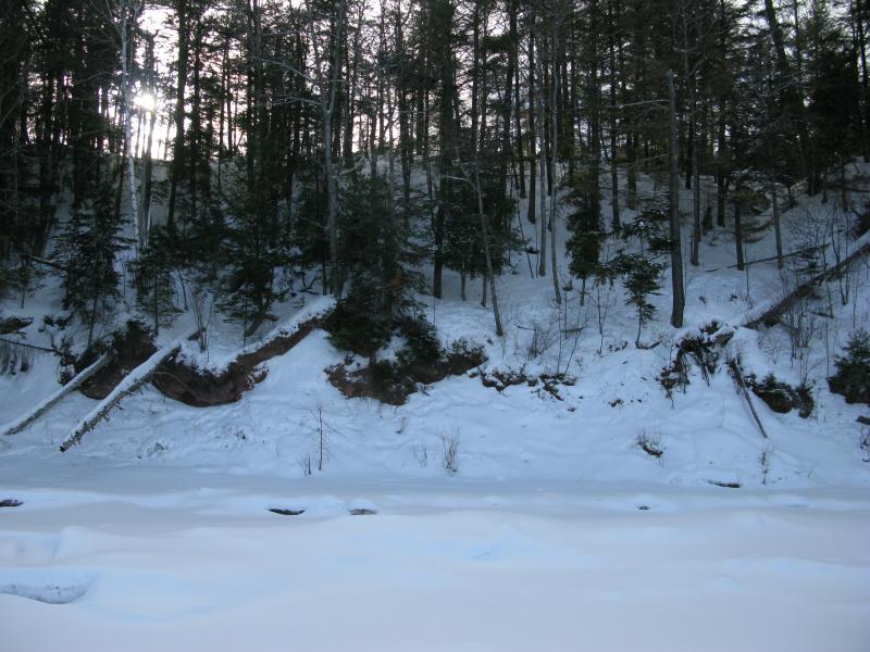 Steep forested shoreline