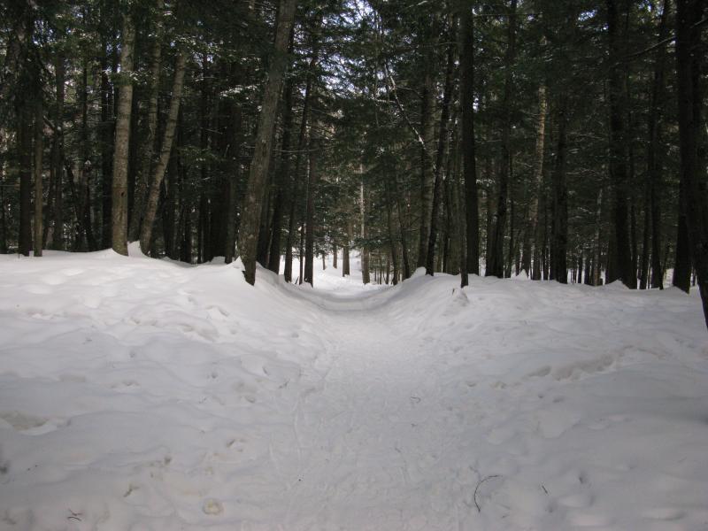 Well-trod path to Wetmore Beach