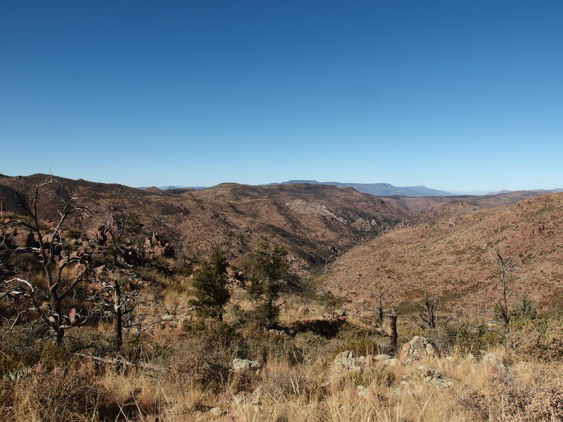 Long drop down to Wet Bottom Creek