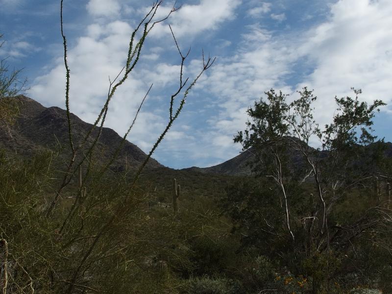 Distant Bell's Pass