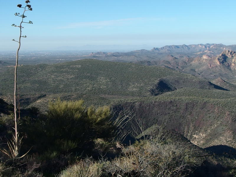 Vast green flats of Hackberry Mesa