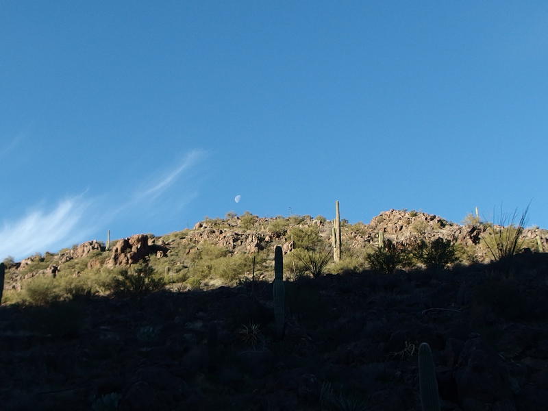 Fading moon beyond the hill's crest