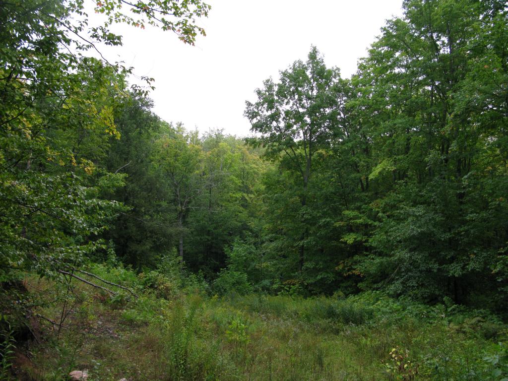 Blog | Norwich Bluff