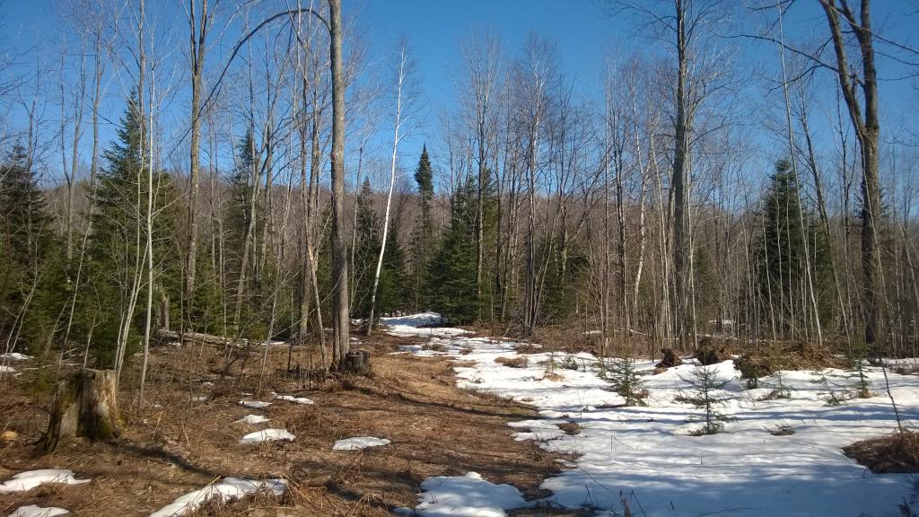 Blog | Gold Mine Hills near Birch Creek
