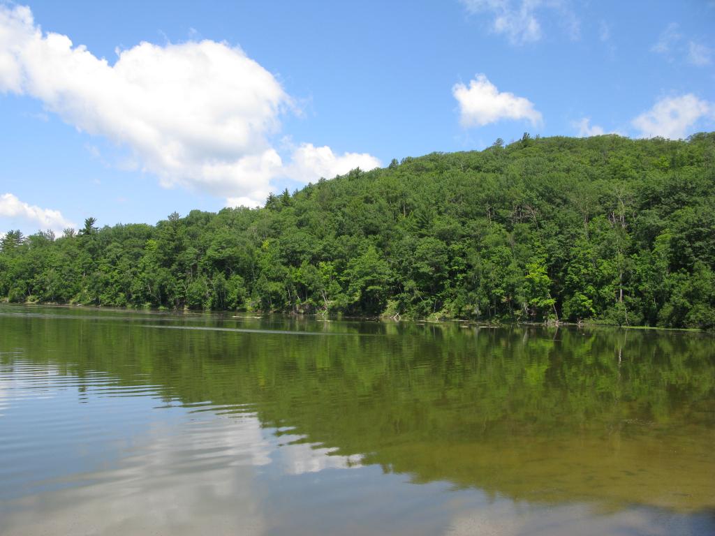 Blog | Goose Lake
