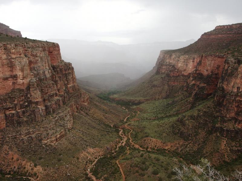 Misty rain deeper in the canyon