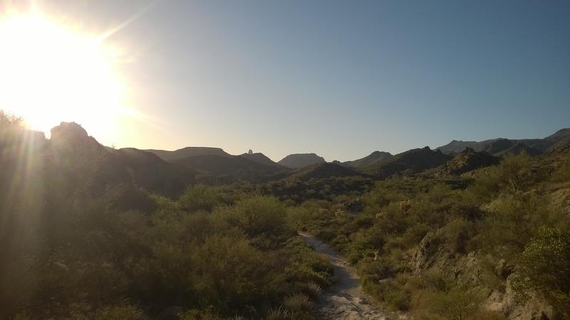 Bright morning sun over the trail