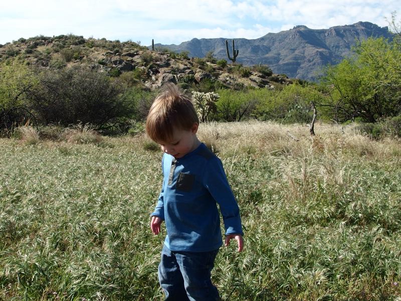 Noah standing amidst soft grass