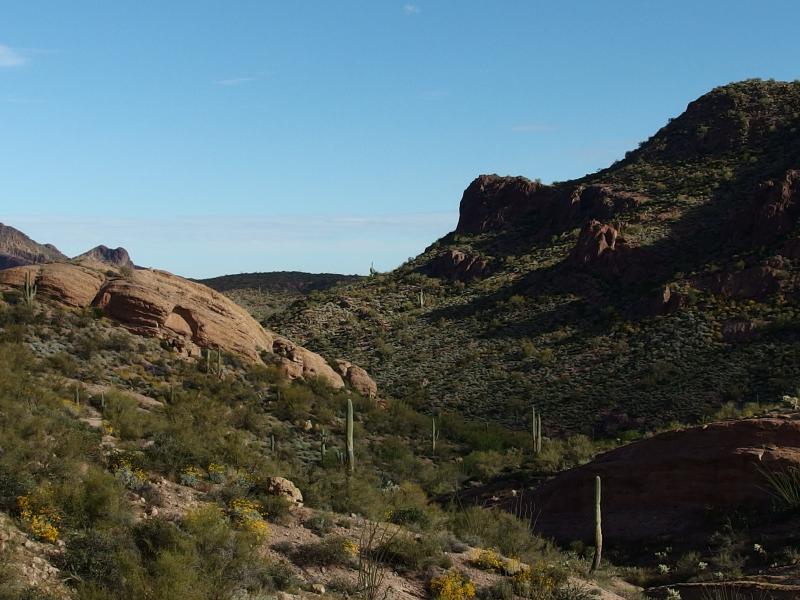 Looking up the cut to Garden Valley