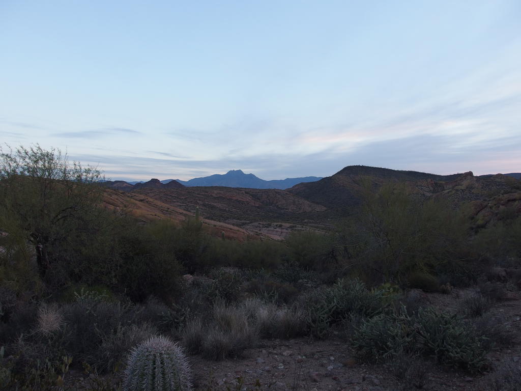Blog | Hackberry Springs