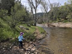 Approaching a full Pinto Creek