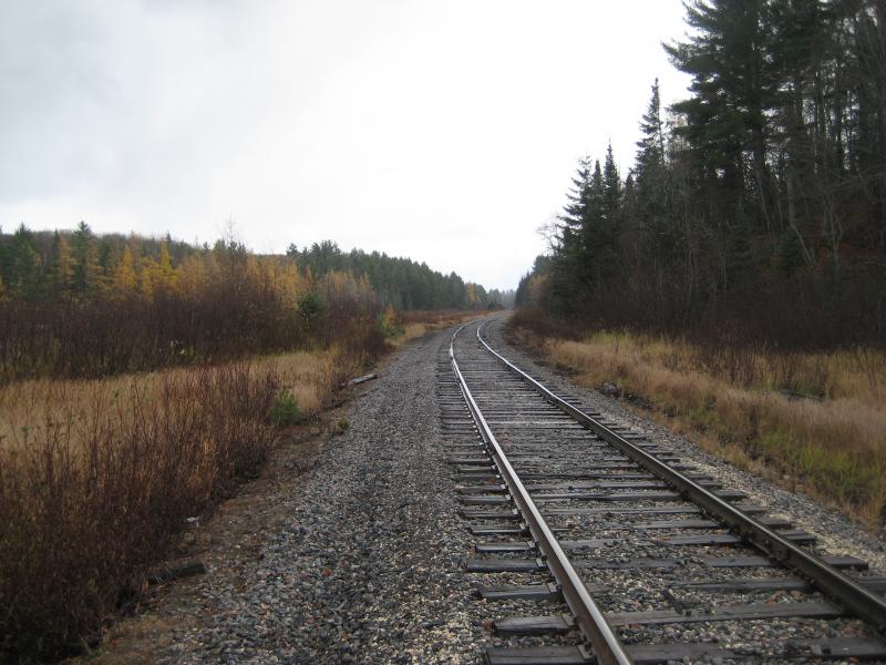 Railroad tracks stretching along Tama Creek