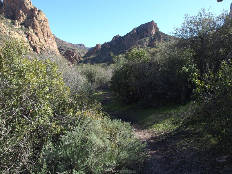 Pleasant hiking surroundings on Terrapin Trail