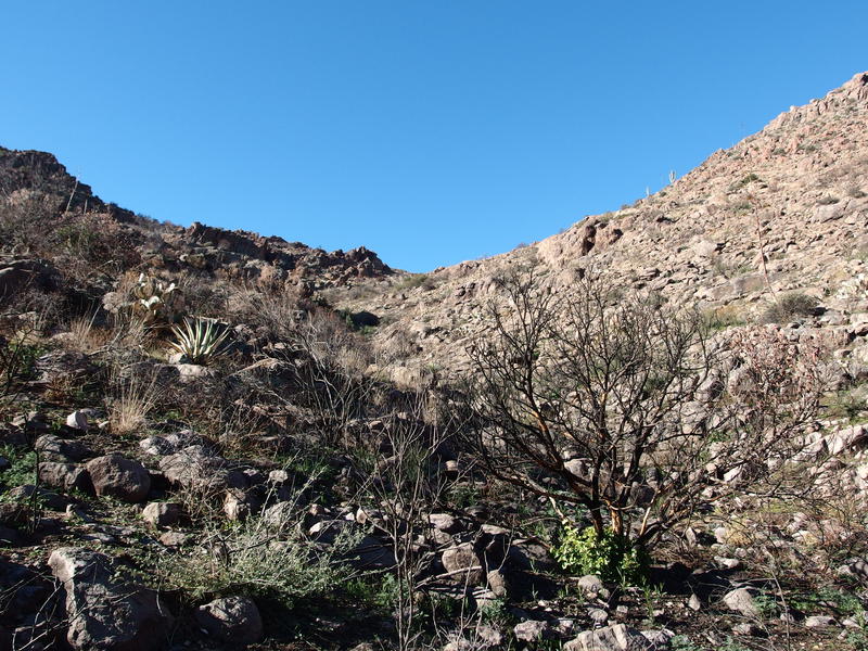 Tough climb up a wash on the western side