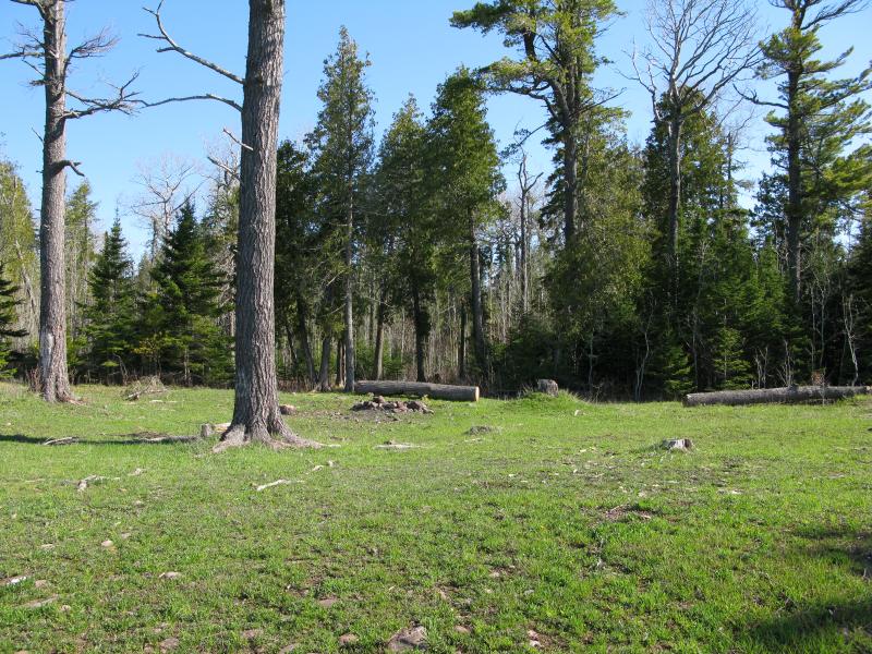 Wide clearing for camping spots