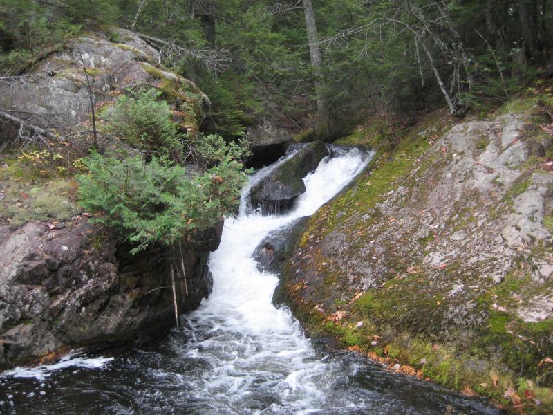 Hogback Falls on East Branch Salmon Trout River