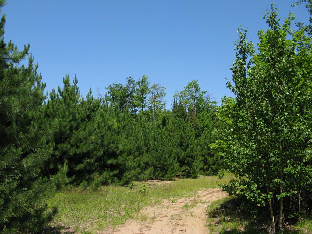 Blog | The Hills of Holyoke