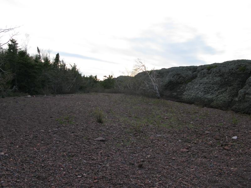 Looking west along the ridge