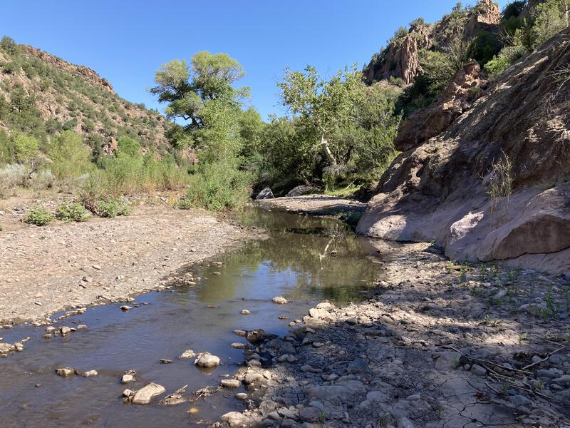 Muddy Blue River